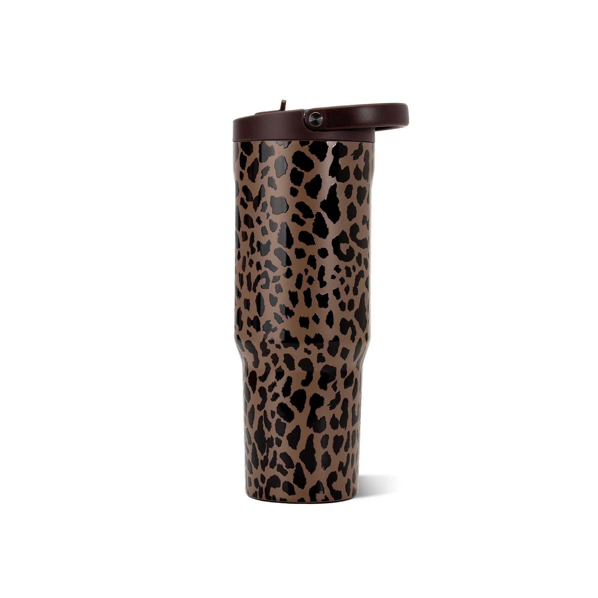 Brown Leopard - KEYP
